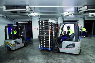 Trabajo en la terminal de perecederos del puerto de Bilbao