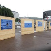 “Santurtziko baleak Bizkaiko golkoan” erakusketa