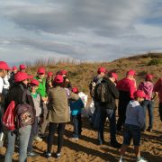 Personal de la Autoridad Portuaria participa en una acción de voluntariado medioambiental en la playa de La Arena