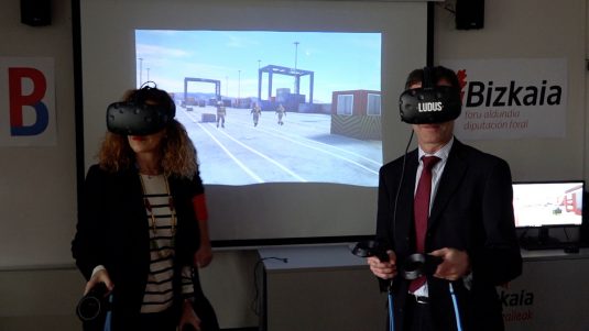 Virtual reality simulator