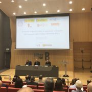 Port of Bilbao hosts tripartite conference on Application of Maritime Labour Convention (MLC)