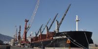 WESTERN MILTON (breakbulk)