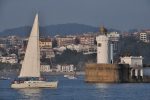 Arriluzeko kaia eta belaontzia