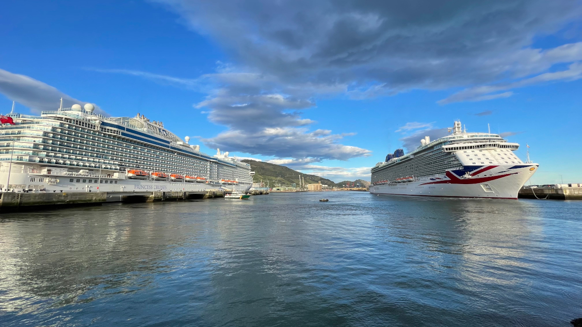 Two cruise ships at port