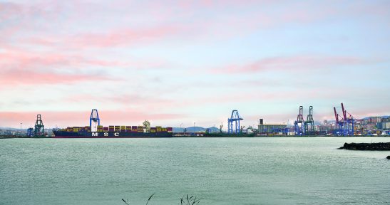 MSC introduce una nueva conexión directa desde el Puerto de Bilbao con Canadá