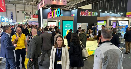 Bilboko Portua, aukera berrien bila Berlinen egiten den fruta eta barazkien nazioarteko azoka nagusian